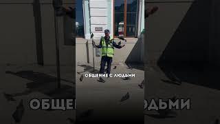 https://t.me/nastavnik_nutriciologov