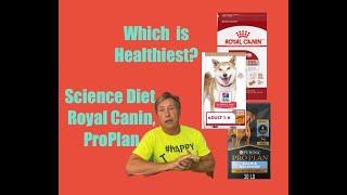 Science Diet, ProPlan, Royal Canin! Which is healthiest for an adult dog?