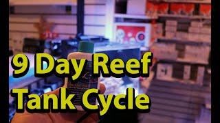 Dr Tim's One & Only 9 Day Reef Tank Cycle