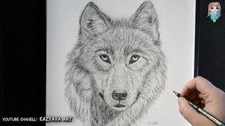 How to draw a face of a wolf with a pencil. A detailed lesson.