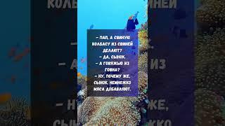 Смешно, но грустно!🫣 #lolmadnesstv