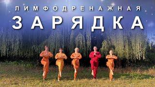 ЛИМФОДРЕНАЖНАЯ ЗАРЯДКА