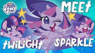 NEW | Meet Twilight Sparkle in Pony Life | MLP