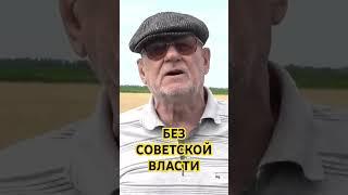 Без советской власти. Мое село Рябина Сумской области. Анатолий Стреляный. @UHOLOS #shorts