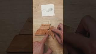 The 3 Piece Dilemma - Brilliant Puzzle!