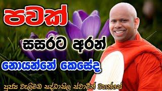 පවක් සසරට අරන් නොයන්නේ  කොහොමද welimada saddaseela theru.#bana #budubana #බන #trending #කවි