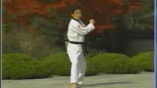 14. Taekwondo Poomsae Jitae (WTF)