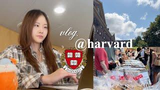 (eng/kor) a week @harvard vlog (long overdue)