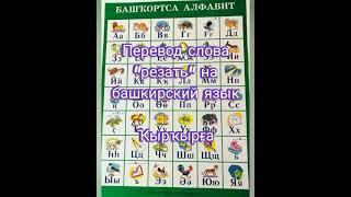 Башкирская алифба #Уфа #башкортостан #башкир #алифба #башкиры #волки #стерлитамак