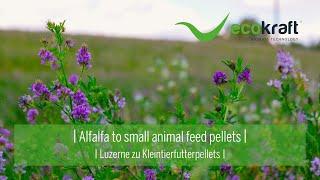 ECOKRAFT - Alfalfa to small animal feed pellets