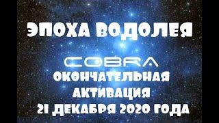 КОБРА:СДЕЛАЙТЕ ЭТО ВИРУСНЫМ! ЭПОХА ВОДОЛЕЯ ОКОНЧАТЕЛЬНАЯ АКТИВАЦИЯ 21 ДЕКАБРЯ 2020 ГОДА