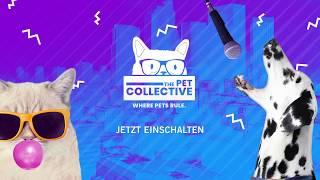 The Pet Collective (Trailer) | Pluto TV GSA