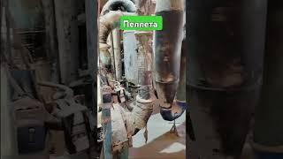 #pellet #wood #man #factory #machine #google #pellet_burner Обзор завода - пеллетного производства.