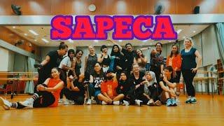 SAPECA - ZIN 104 - BRAZILIAN FUNK - ZUMBA OFFICIAL CHOREO