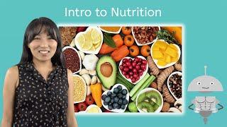 Intro to Nutrition - Health 1 for Teens!