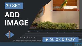 Kdenlive Tutorial: How to Add Image in Kdenlive