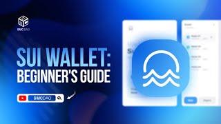 Sui Wallet Beginners Guide