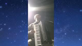 Night Skies and Accordion Lullabies