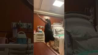 Meghan and Harry dance in delivery room before Lilibet's birth in unseen video