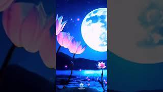 Healing Frequencies:  Boost Health & Clear Energy! 
