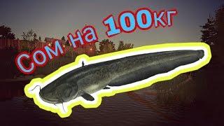 Сом на 100кг - Русская рыбалка 4 - Russian Fishing 4