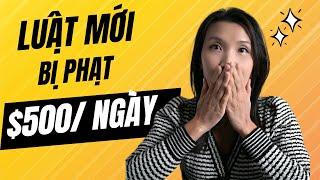 Không muốn Bị PHẠT $500/Ngày? - Chủ Doanh Nghiệp Mỹ phải làm Ngay