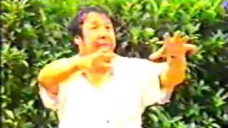 DaCheng Quan Master Wang Xuanjie plays ShiLi