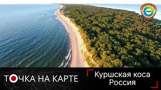 Чудеса Куршской косы. Песчаные дюны, дикие животные, «танцующий» лес, высота Эфа