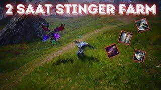 Rise Online 2 Saat Stinger Farm