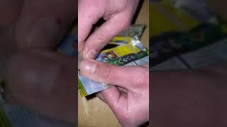 Eevee Heroes #booster #pack Opening | #pokemon #shorts #pokemoncards