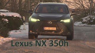 KIA Lexus NX 350h 2024