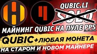 Майнинг Qubic в режиме пула PPS на Qubic li. Настройка майнинга на старом и новом майнере на HiveOS