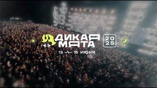 Фестиваль «Дикая Мята» — три дня лета, музыки и любви!