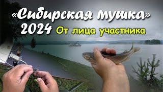 "Сибирская Мушка 2024". От лица участника.