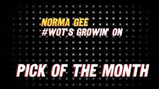 113GrowShow | PICK OF THE MONTH | May 2025 | Wots growin on
