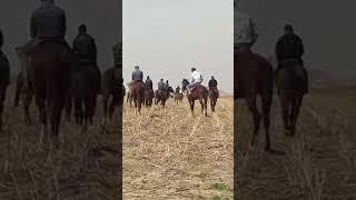Улок купкари
