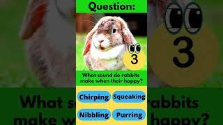 QnA: Rabbit Fact No. 10 #fun #facts #rabbit #vtuber #sprinklesvtuber