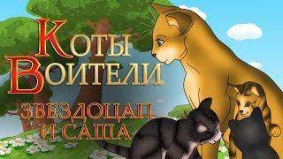 КОТЫ ВОИТЕЛИ | Звездоцап и Саша - 3 | Главный Выбор. 5 серия. Озвучка манги.