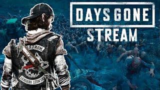 Байкер и зомби || Days Gone #1 [Запись стрима] + 101 совет @zeruby13