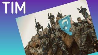 What Is The Turkistan Islamic Movement? #China #UighurGenocide