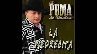 EL PUMA DE SINALOA LA PIEDRECITA
