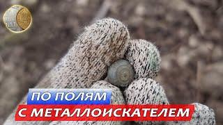 2110 / По полям с металлодетектором / пуговка-гирька и монеты