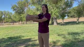 Simple Workplace Stretches: Wrist Flexion