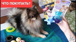 Какие игрушки для собак покупать? Шпиц, Чихуахуа, обзор, рекомендации