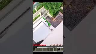 Евген бро и Вайнран #shorts #minecraft