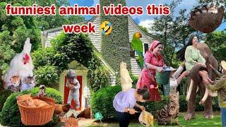 Cute Animals Funny Videos 2024 Best Cute Animals of the Week