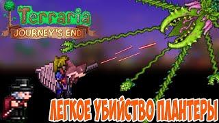 Цветок-переросток и Голем №6|Terraria 1.4 Стрелок|Master mode