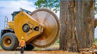 Extreme Dangerous Fastest Big Chainsaw Cutting Tree Machines | Monster Stump Removal Excavator #30