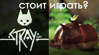 Стоит ли играть в STRAY? Почему stray так популярна?