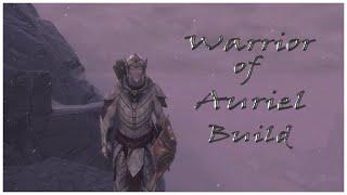 SKYRIM: Warrior of Auriel [BUILD GUIDE]